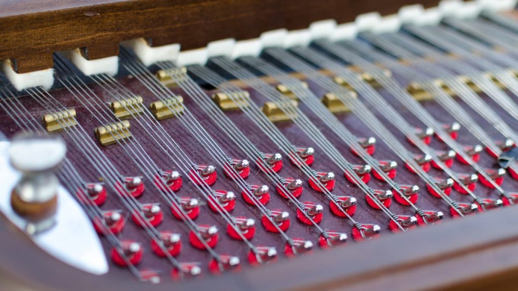 Detailed shot of a stringed musical instrument displaying tuning pegs and strings.